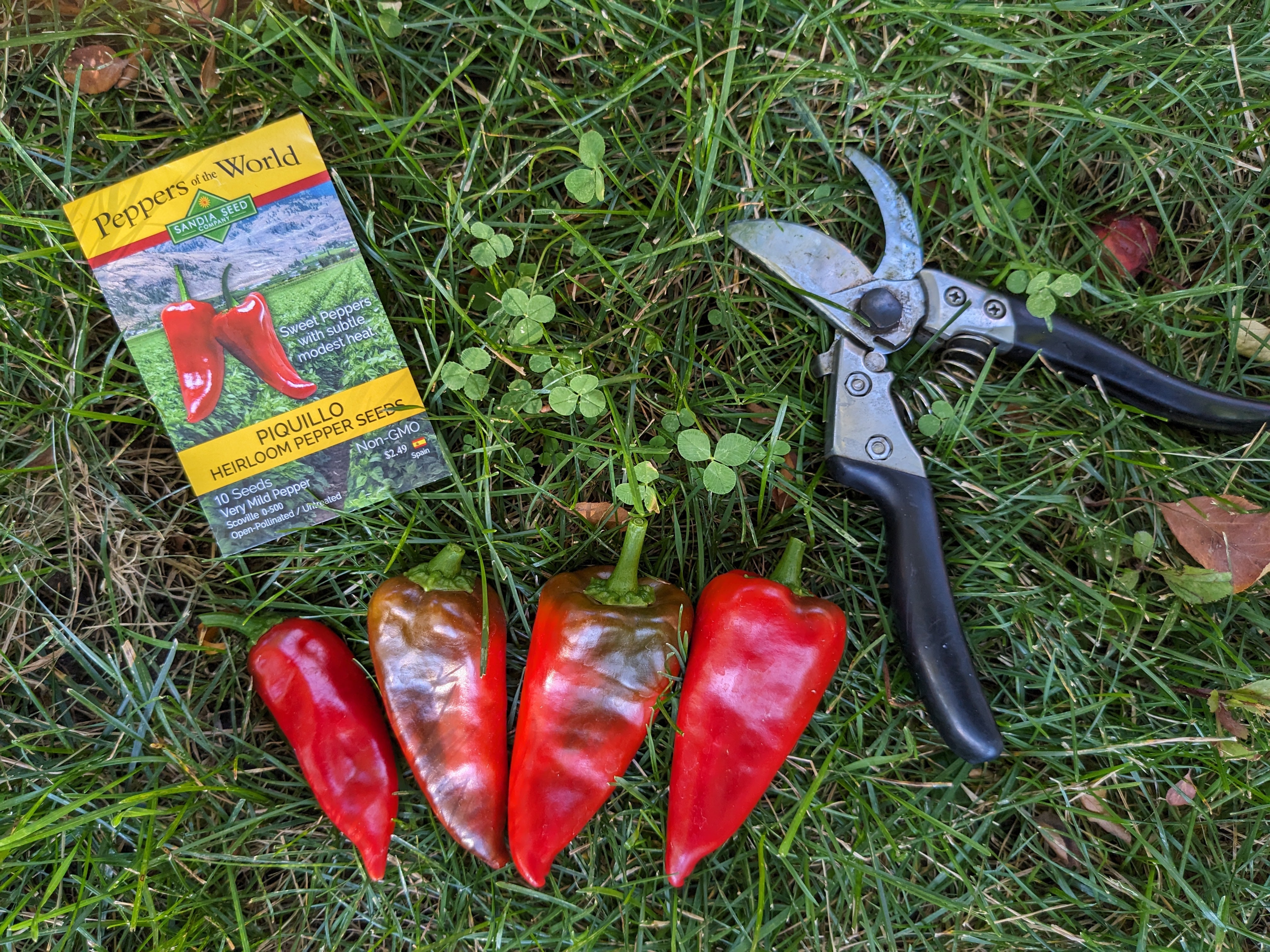 Pepper Gifts: Pruners and Seeds