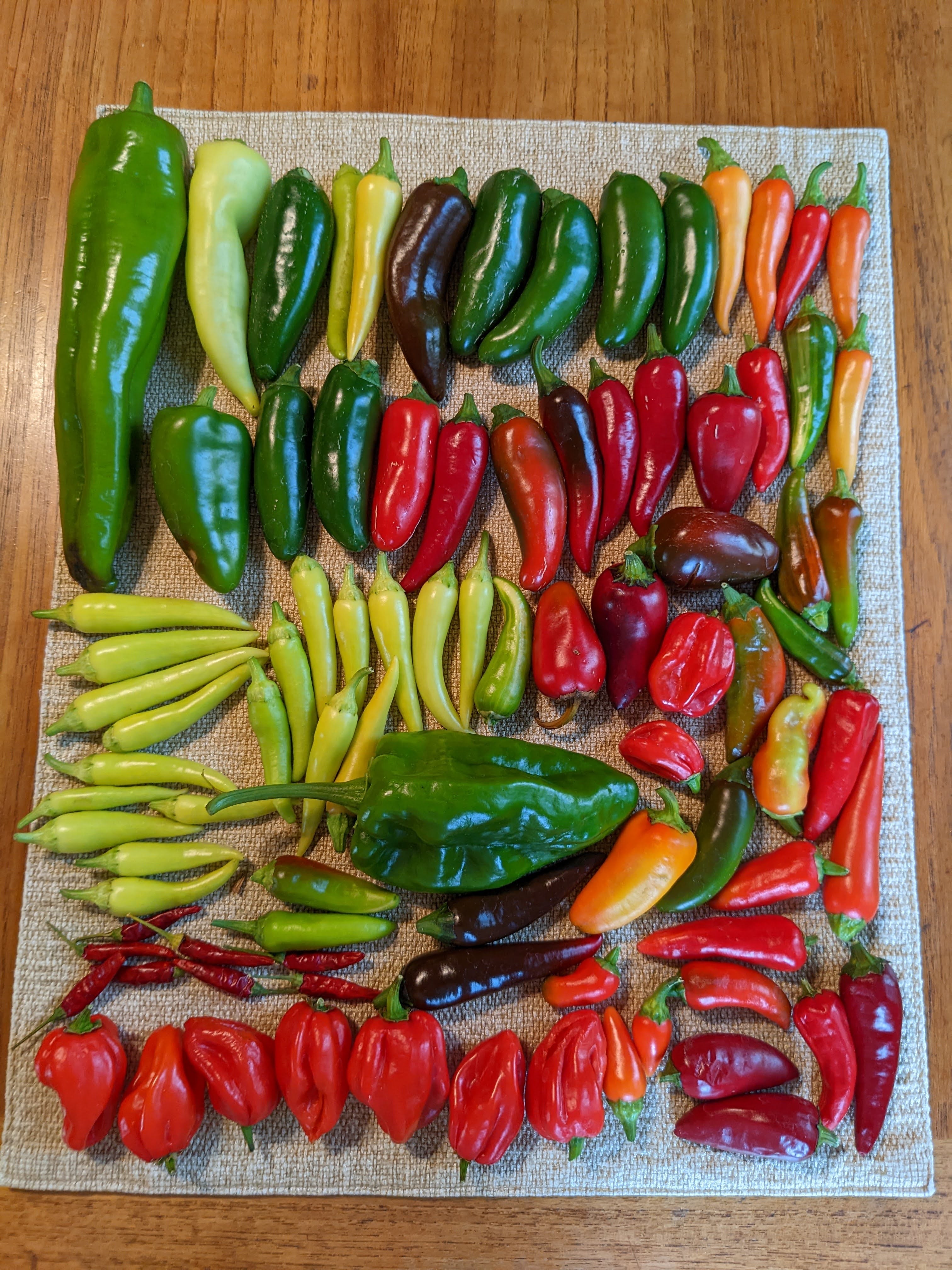 Best Chile Seeds come in a wide arrange of colors and heat!
