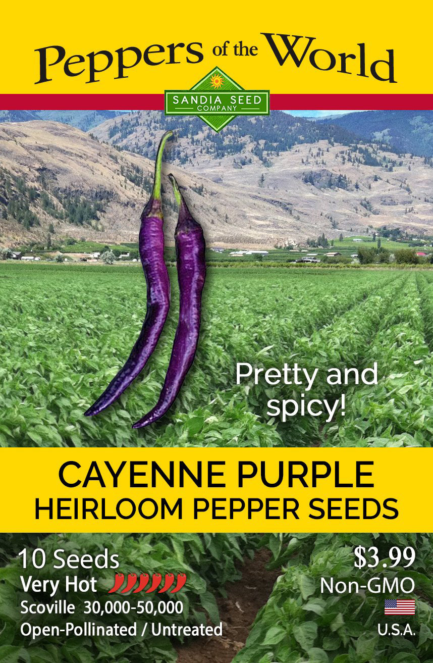 Purple Cayenne Pepper Seeds