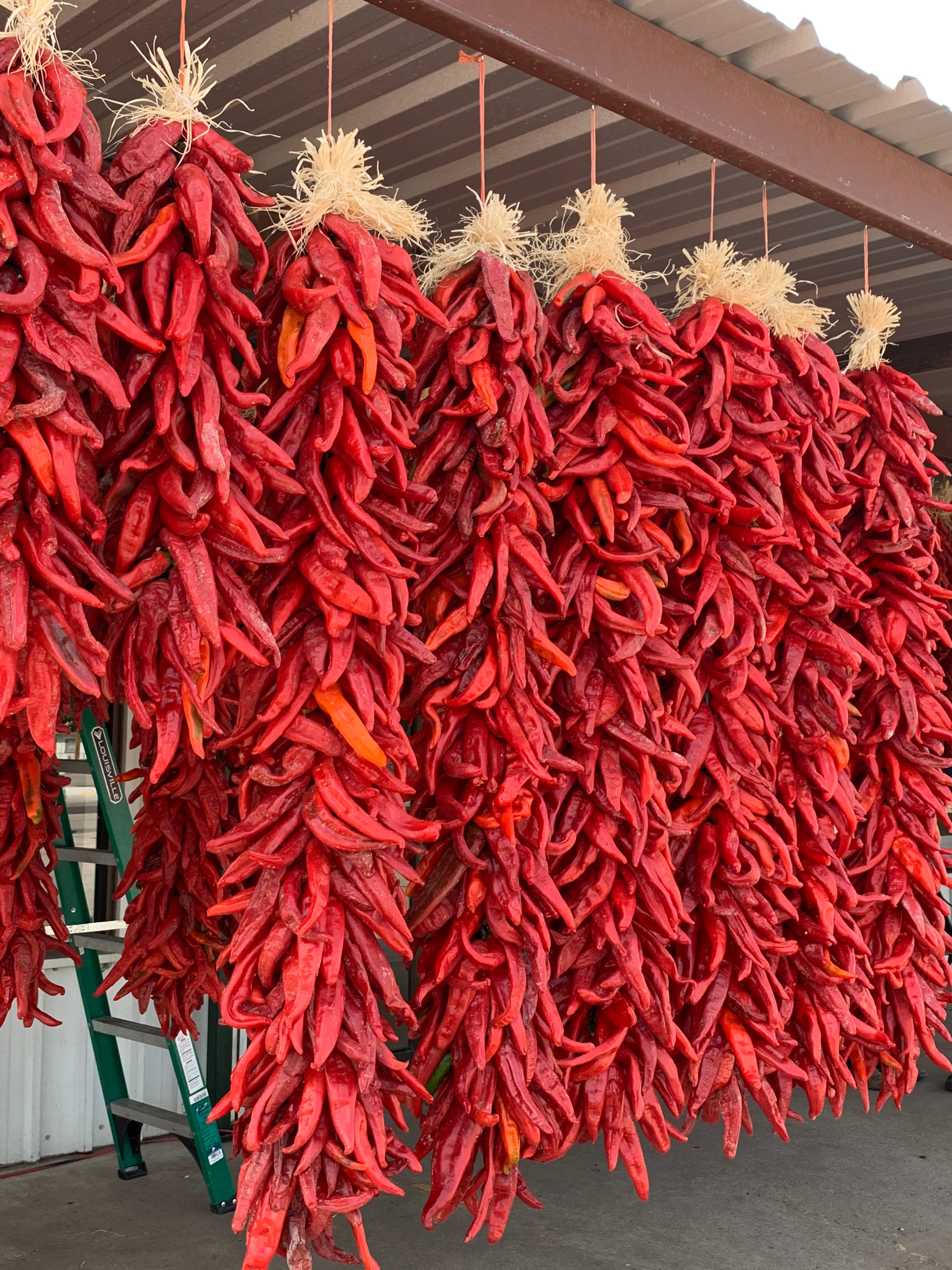 New Mexico's certified chile program finds roots in Arizona