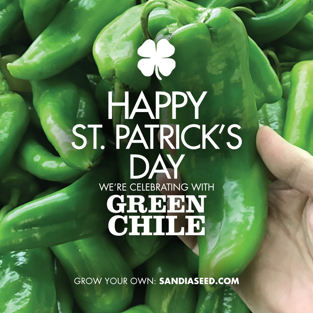 Happy St. Patrick's Day - Celebrate with Green Chile!