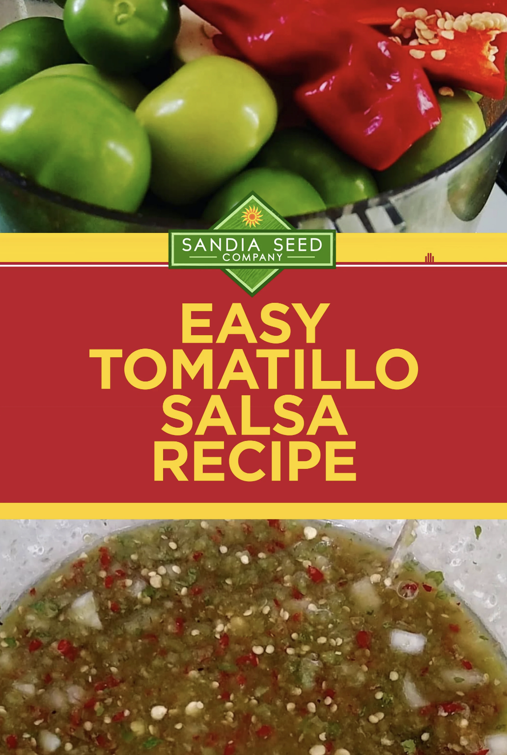 Tomatillo Salsa Recipe (Salsa Verde)