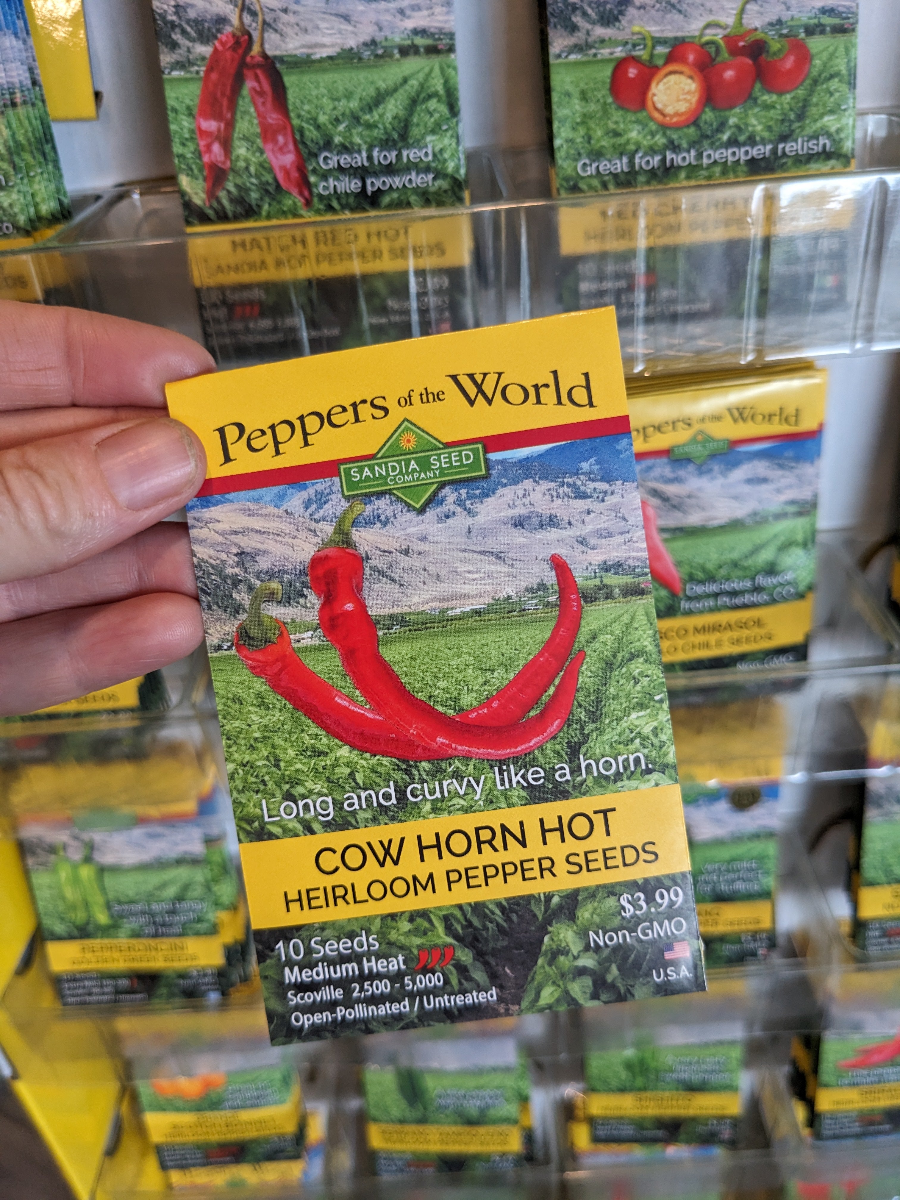 Wholesale Seeds: Cow Horn Pepper Seeds