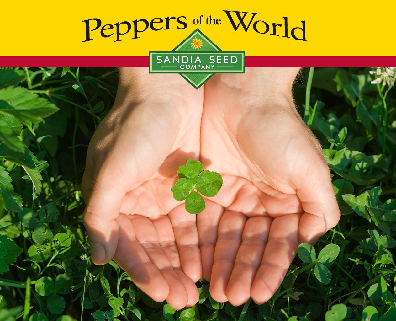 Seed Discounts for St. Patrick's Day 2024