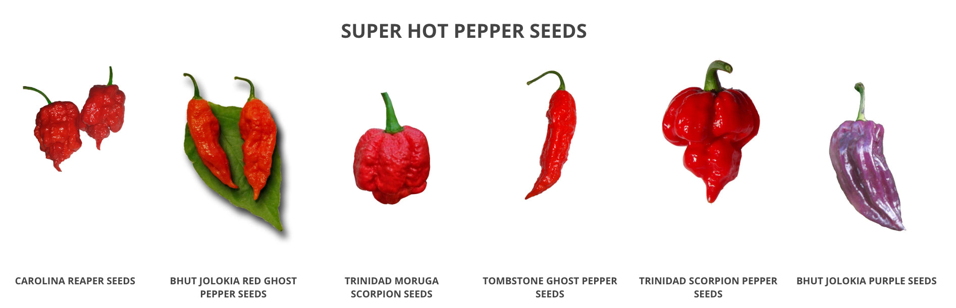 Super Hot Pepper Seeds