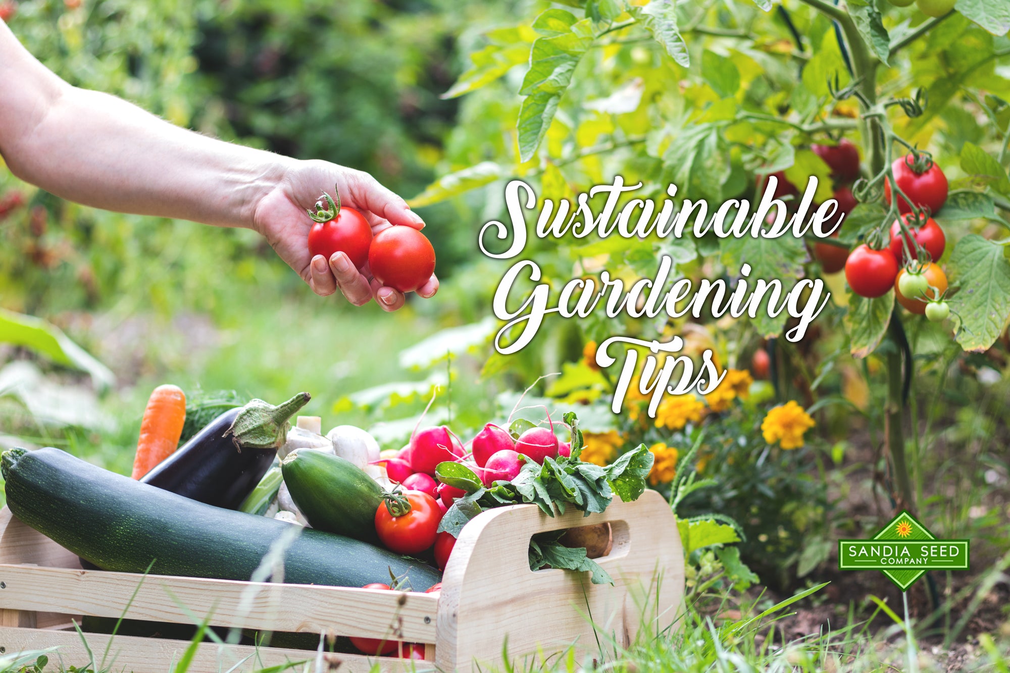 Sustainable Gardening