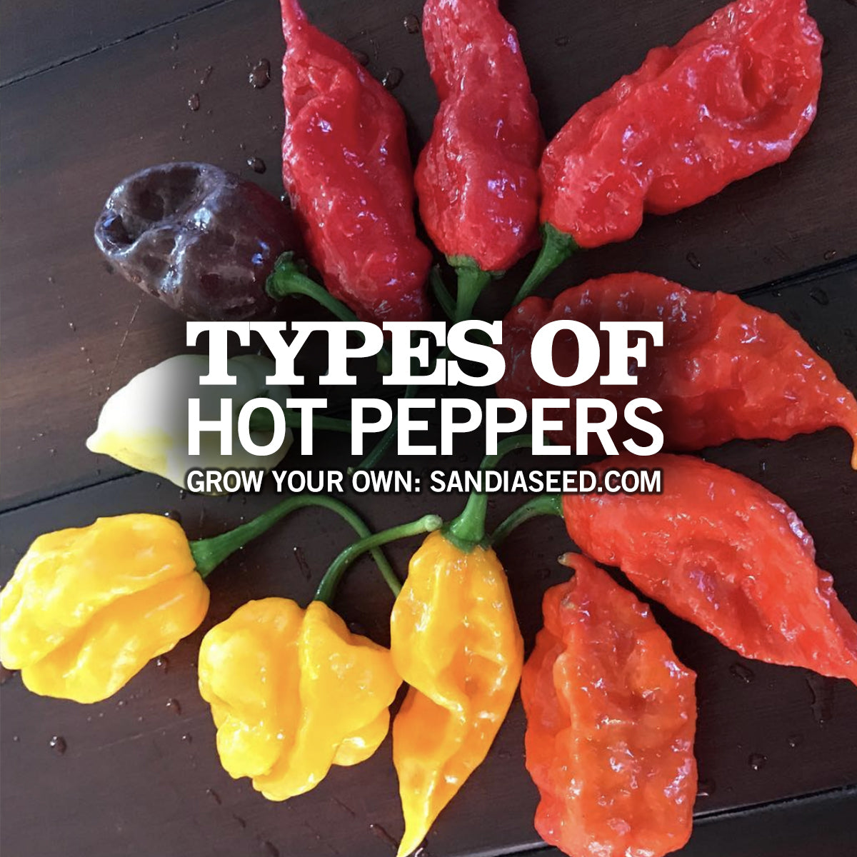 Types Of Hot Peppers Chart