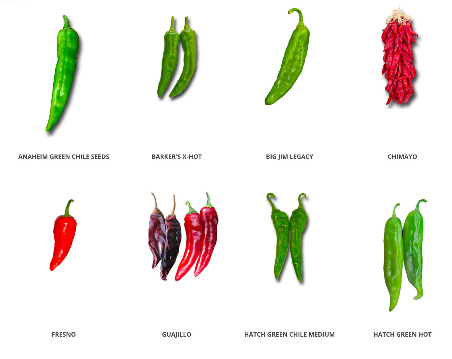Tips to grow peppers from seed