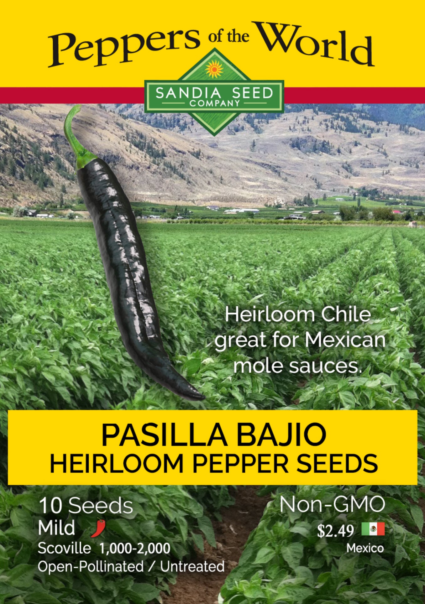 Pasilla Pepper Seeds