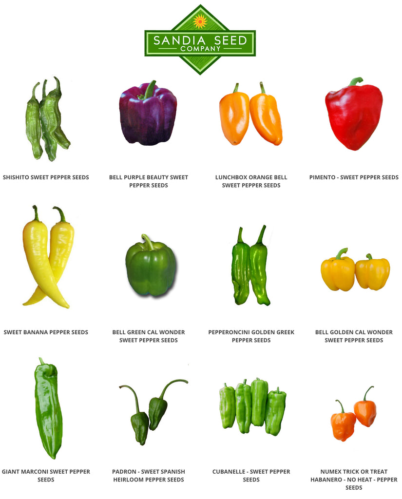 African Peppers – Sandia Seed Company