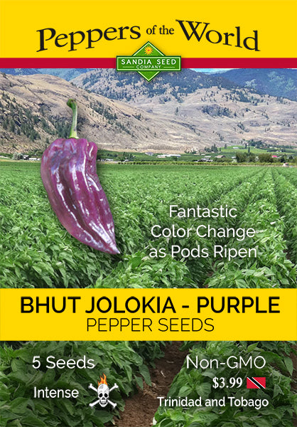 Purple Ghost Pepper Seeds