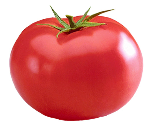 Magnum Beefsteak Tomato – Revival Seeds