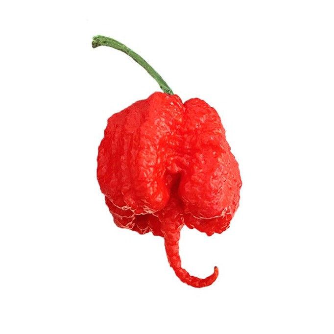 Carolina Reaper Seeds