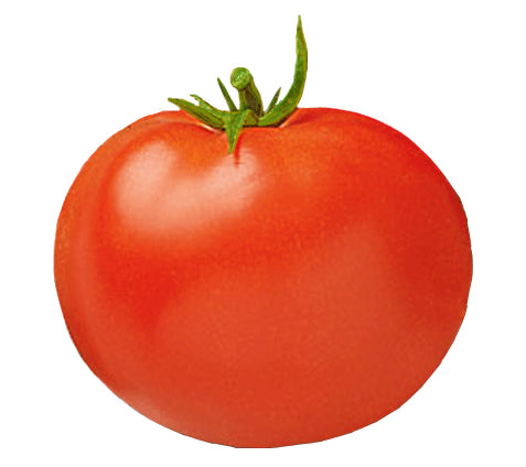 Tomato Garden Seeds- Jet Star Hybrid - 1000 Seeds- Non-GMO, Gardening