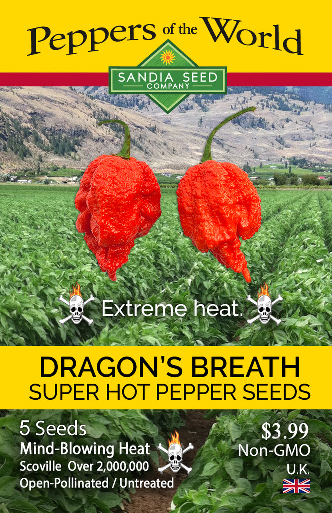 Dragon S Breath Pepper Seeds Sandia Seed Company