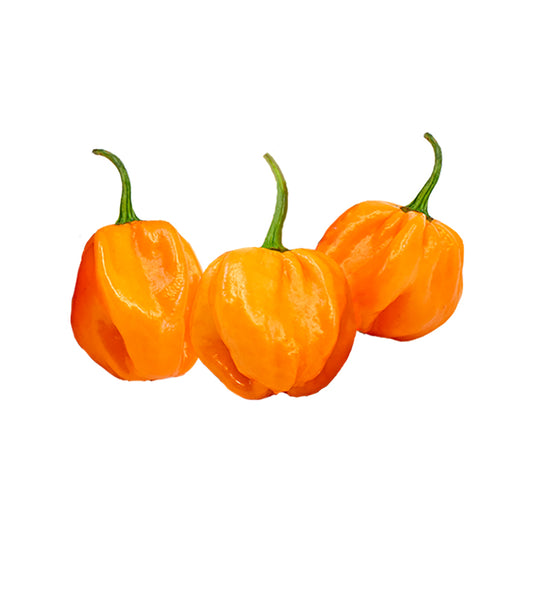 PDF) Evaluation of Scotch Bonnet and Habanero Peppers (Capsicum