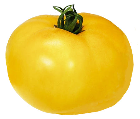 Chef's Choice Orange Hybrid Tomato – Tomato Growers Supply Company
