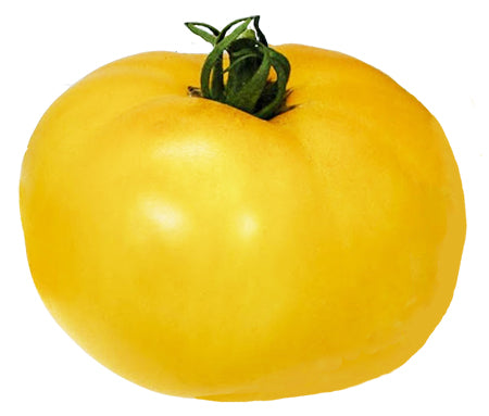 Tomato Chef's Choice Yellow F1