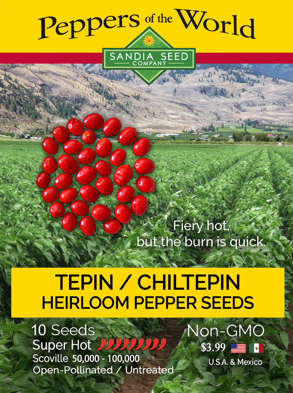 Chilli Seeds – Sandia Seed Company
