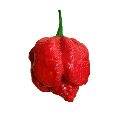 orange carolina reaper seeds