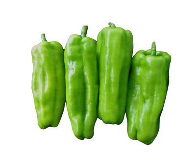 Bell Pepper - Yolo Wonder Seeds