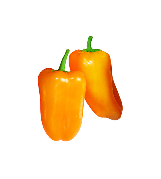 Mini Belle Blend Pepper, Sweet Bell Pepper Seeds: Totally Tomatoes