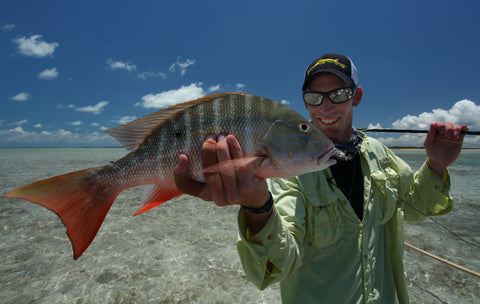 Cayo Romano Cuba fish species