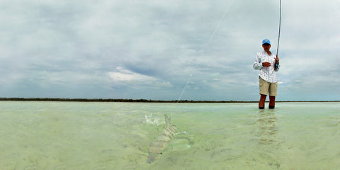 Cayo Romano Cuba Bonefish Flats