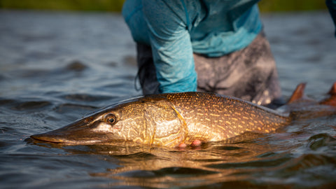 Cree lake Fly In outpost Camp