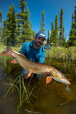 Cree lake fly in outpost camp