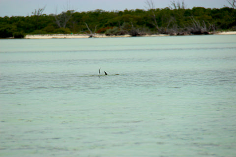 Cayo Romano Cuba Flats fishing