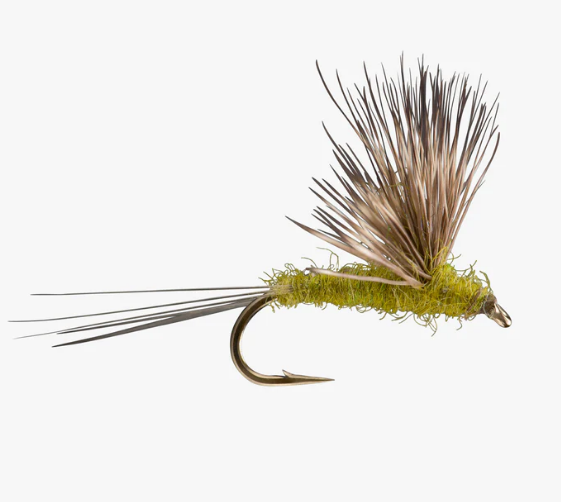 Emerger, Biot Emerger, Flies, Trout Flies, Fly Fishing Flies, Fishing,  Bugs, Mayflies, Fishing Flies -  Israel