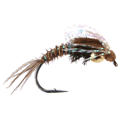 Mayfly Nymphs – Out Fly Fishing