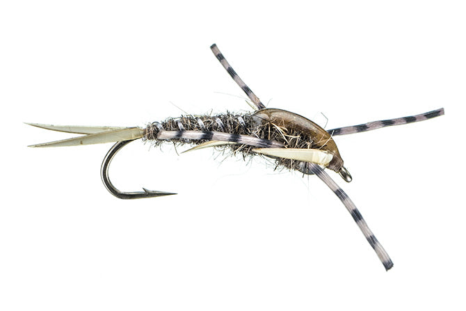 Region Fishing 20 Incher Stonefly Nymph Fly, Tungsten Bead, Mustad  Signature Hooks