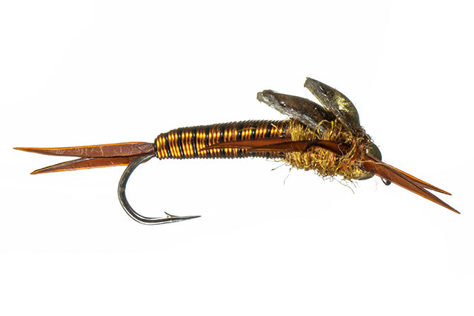 Stonefly Patterns Gummy Stone Tungsten Stonefly Pattern Fly