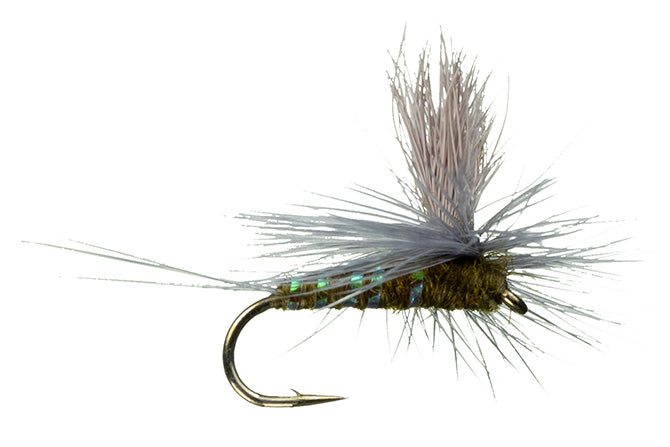 Mayfly Dry Flies – Out Fly Fishing