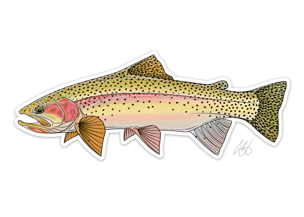 Signmission 5 in. Trout River Fishing of Vinyl Decal Stickers Sign, Pack of 3