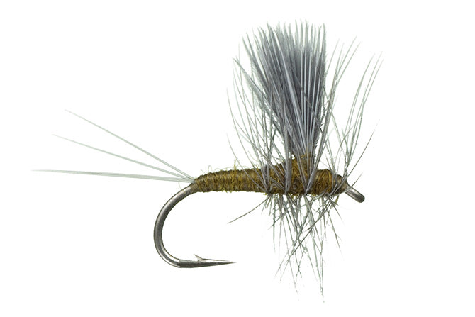 Otter's Soft Milking Egg Cluster – Out Fly Fishing