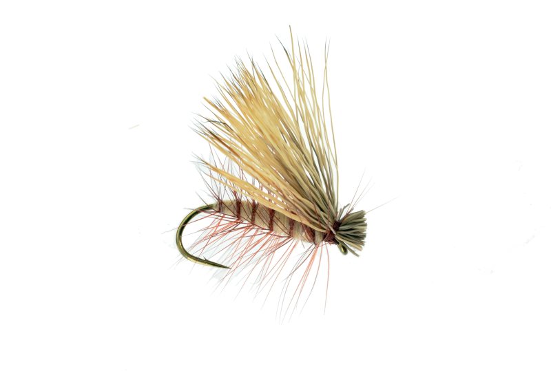 Caddis Dry Flies – Out Fly Fishing