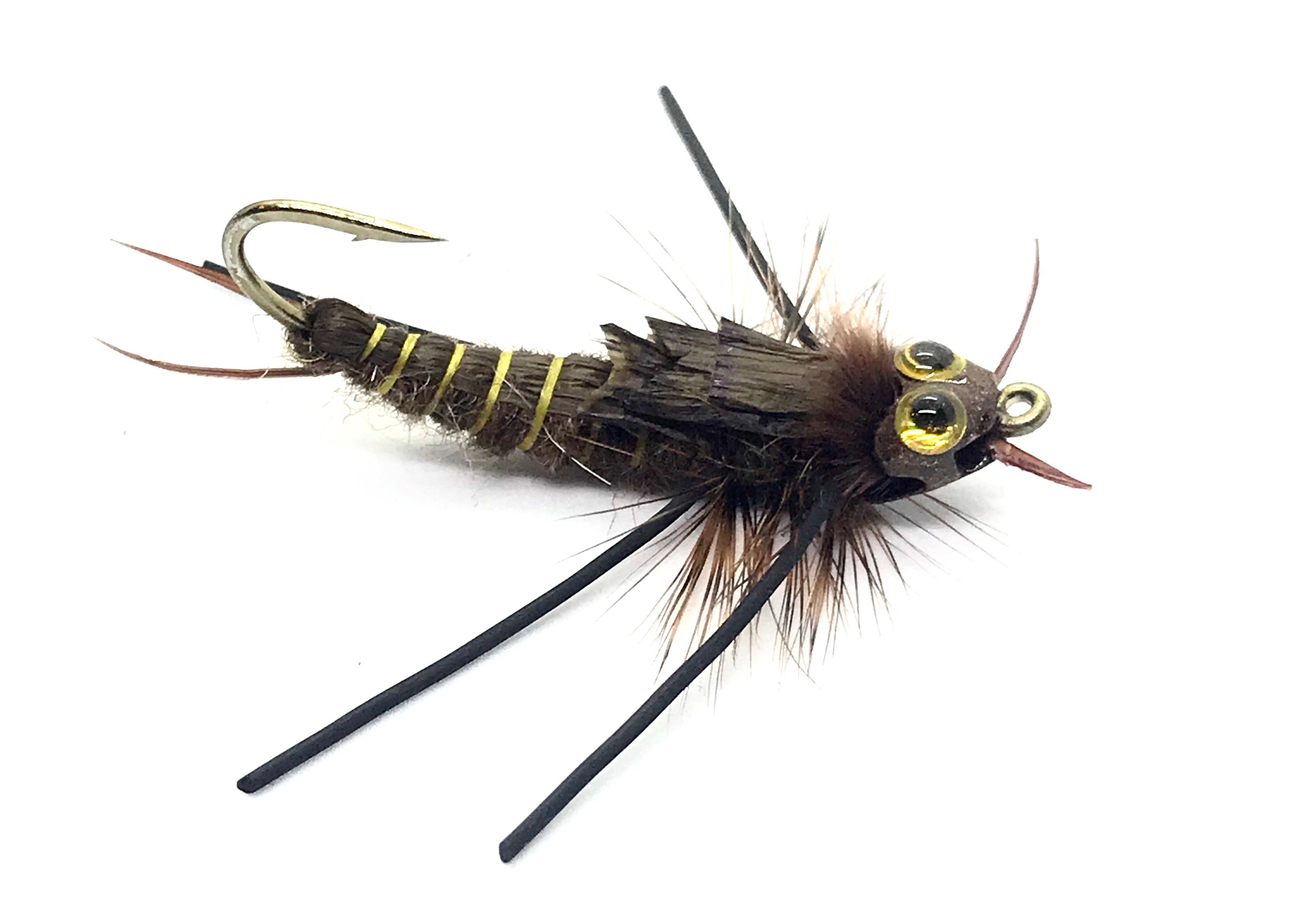 30pcs/Set stonefly Nymph Rubber Body and Nymph Hooks Combo Synthetic Fly  Tying Materials Fly Fishing Artificial Nymph Flies