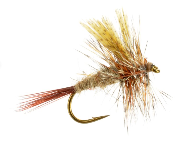 Mayfly Dry Flies – Out Fly Fishing