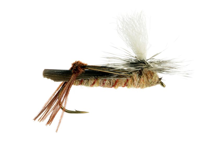 Grasshoppers – Out Fly Fishing
