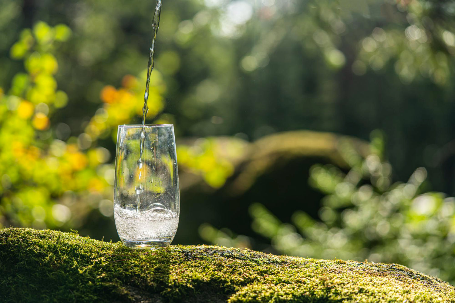 A stream of pure mineral water poured into a transparent crystal glass the background is a green for.