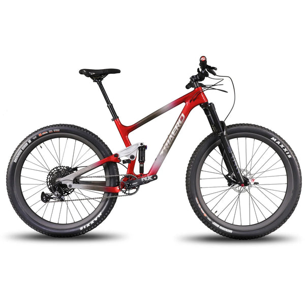 Bicicleta Trail P1-Pintura personalizada-Sram NX EAGLE