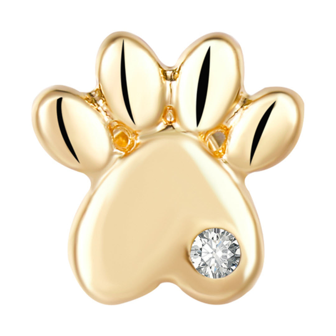 Paw Print Apple Watch Charm - Gold