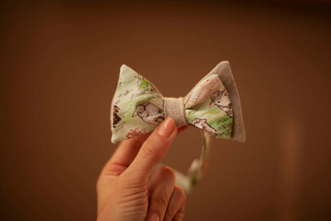 First Reconciliation Bow Tie