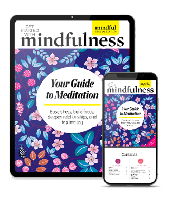 The Gratitude Journal (special edition, print + digital) – Mindful Store