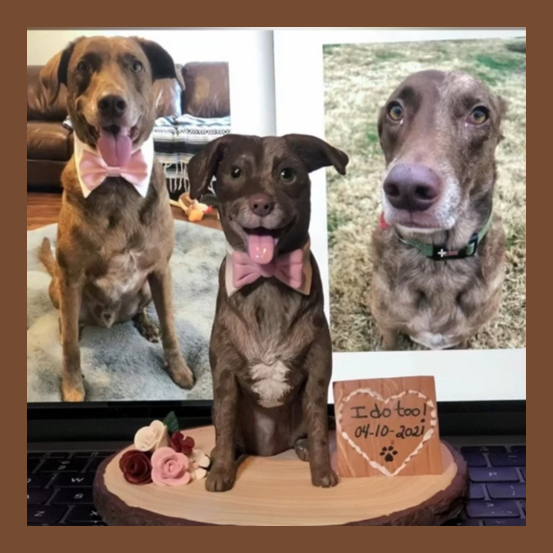 Dog bobblehead, dog structure