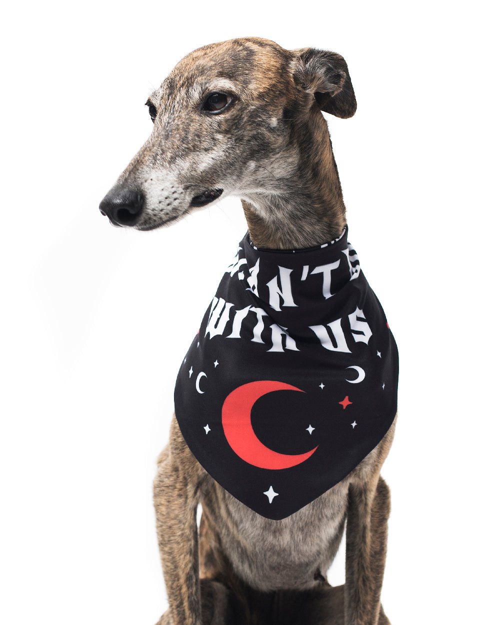 Sinners welcome  Pet Bandana for Sale by Parametric