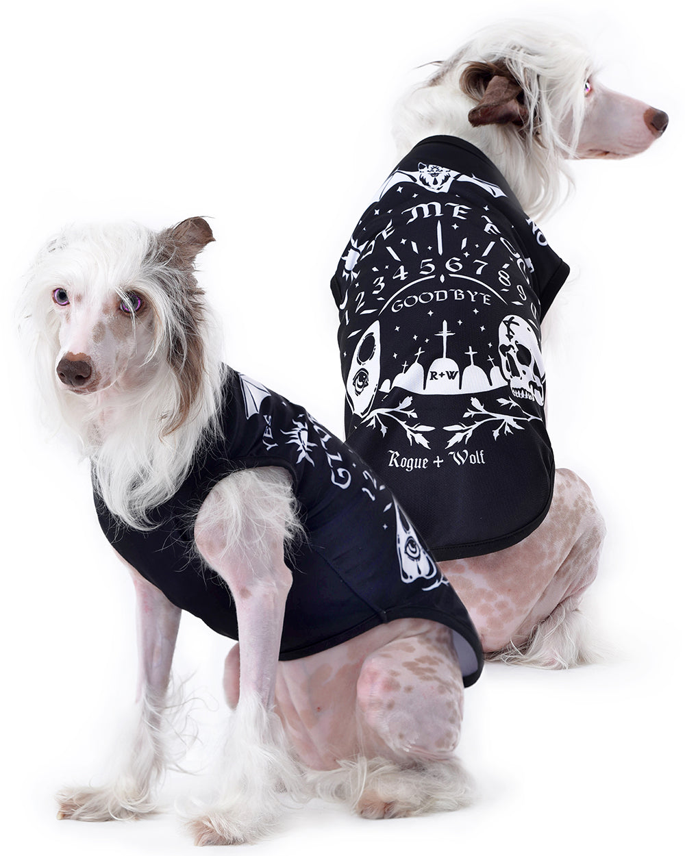 Sworn Enemy Knitted Pet Sweater - Dog or Cat – Rogue + Wolf